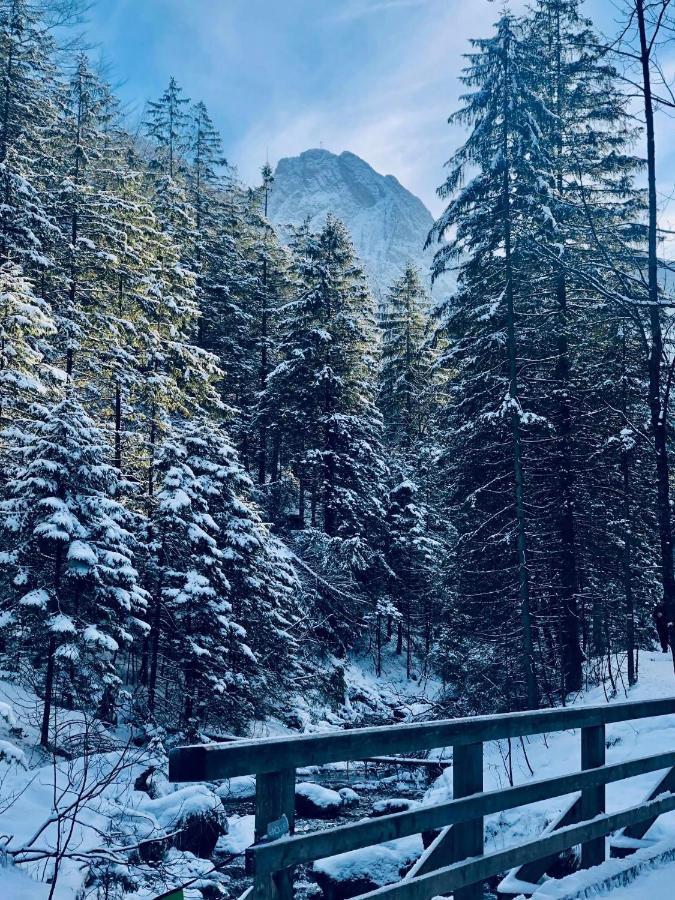 Giewont Mountain View Apartment Zakopane Dış mekan fotoğraf